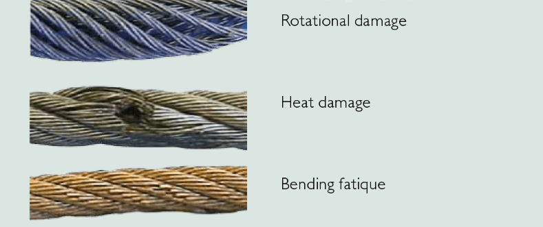 微信图片_20251231115656_238_25